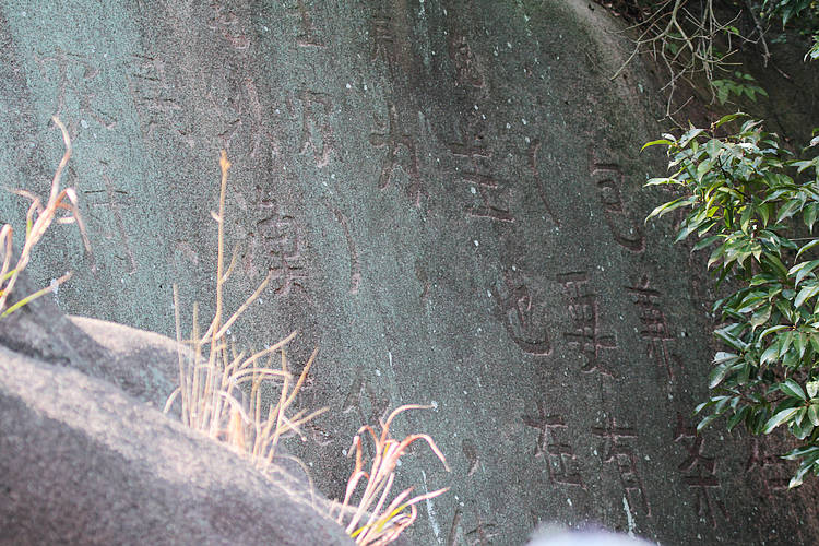 2011_02_26_0053.jpg