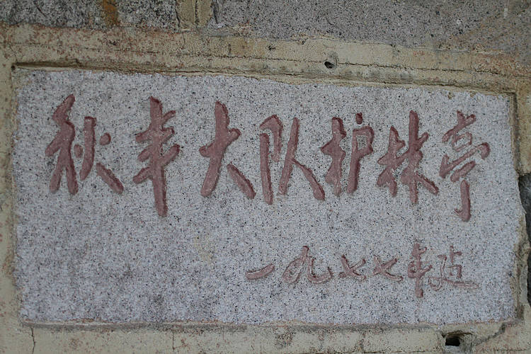 2011_02_26_0062.jpg