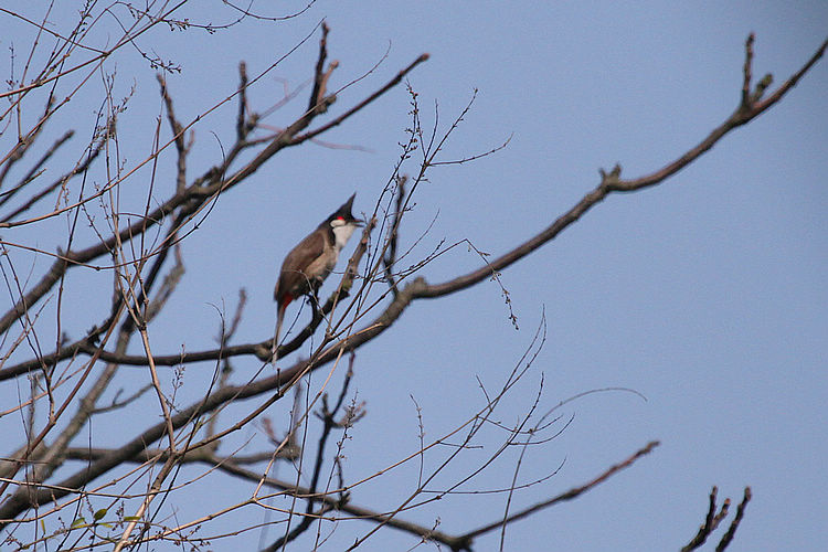 2011_02_26_0006.jpg
