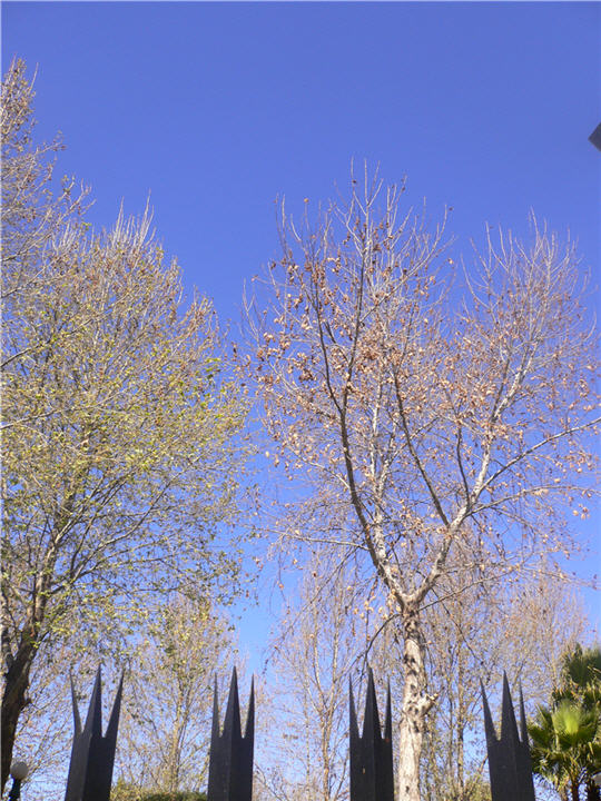 P1080771.JPG
