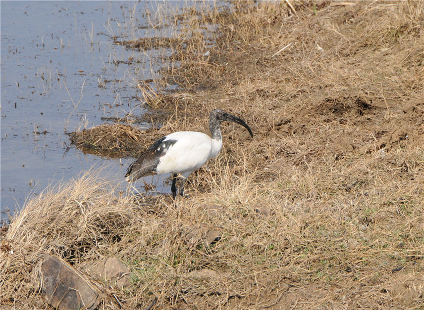 DSC_0744.JPG