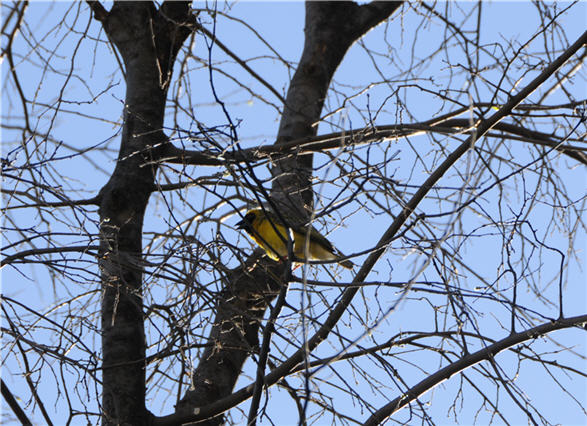 DSC_0808.JPG