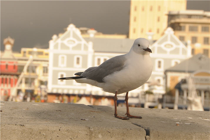 DSC_0573.JPG