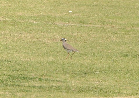 DSC_0773.JPG