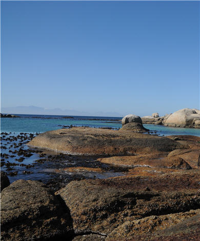 DSC_0373.JPG