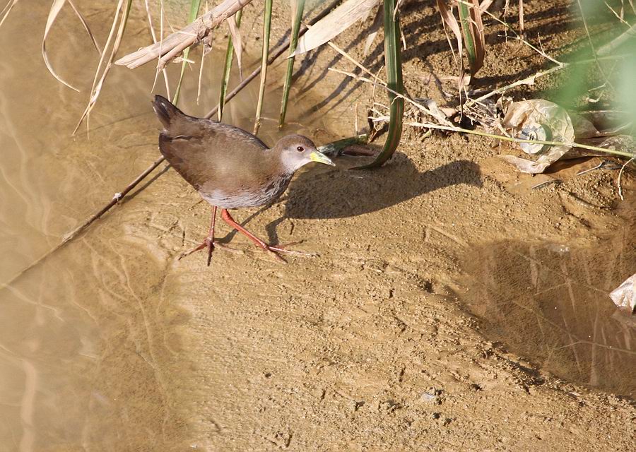 IMG_9100.jpg