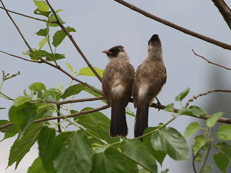 2011.05.26-008.jpg
