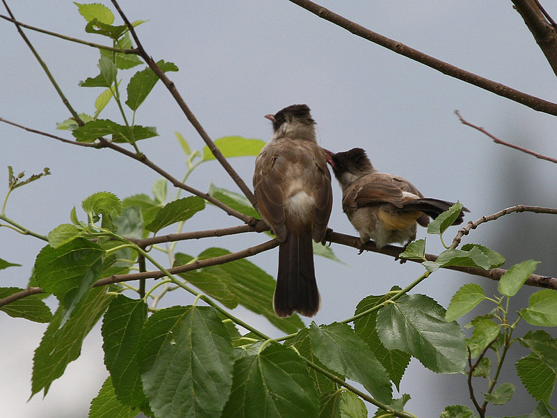 2011.05.26-006.jpg