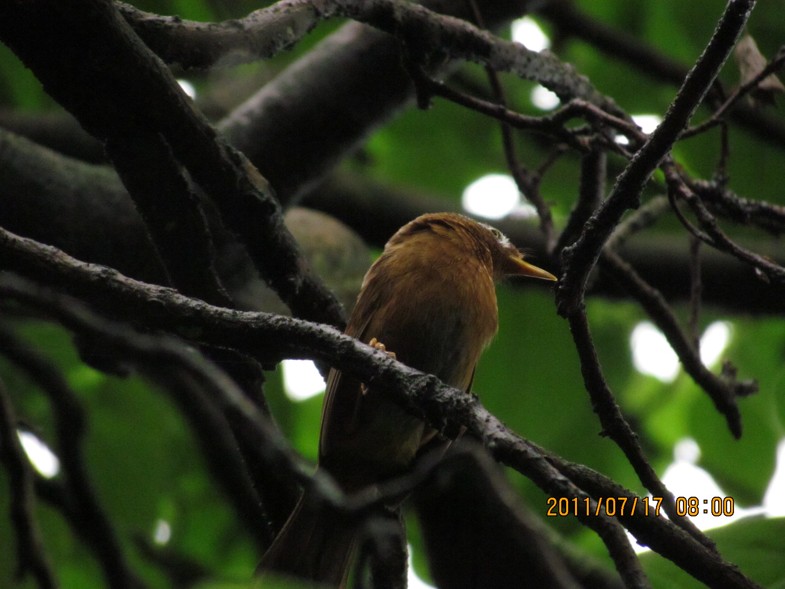 IMG_1763.JPG