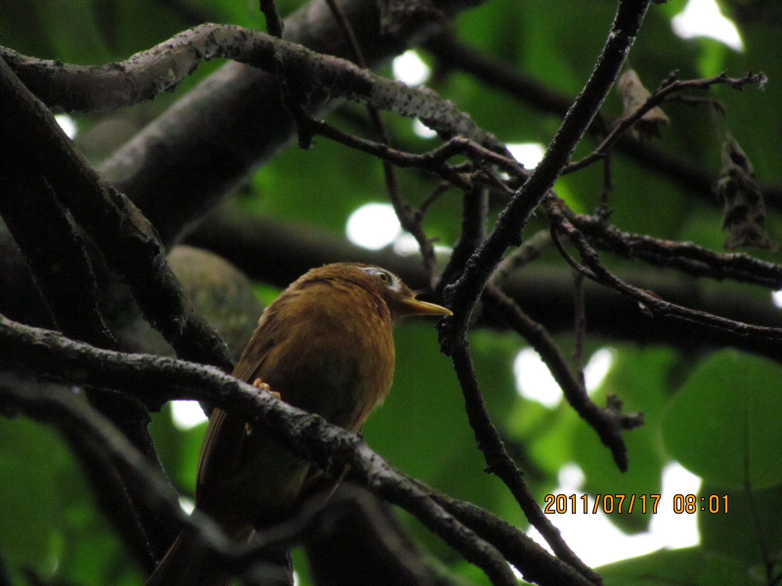 IMG_1764.JPG