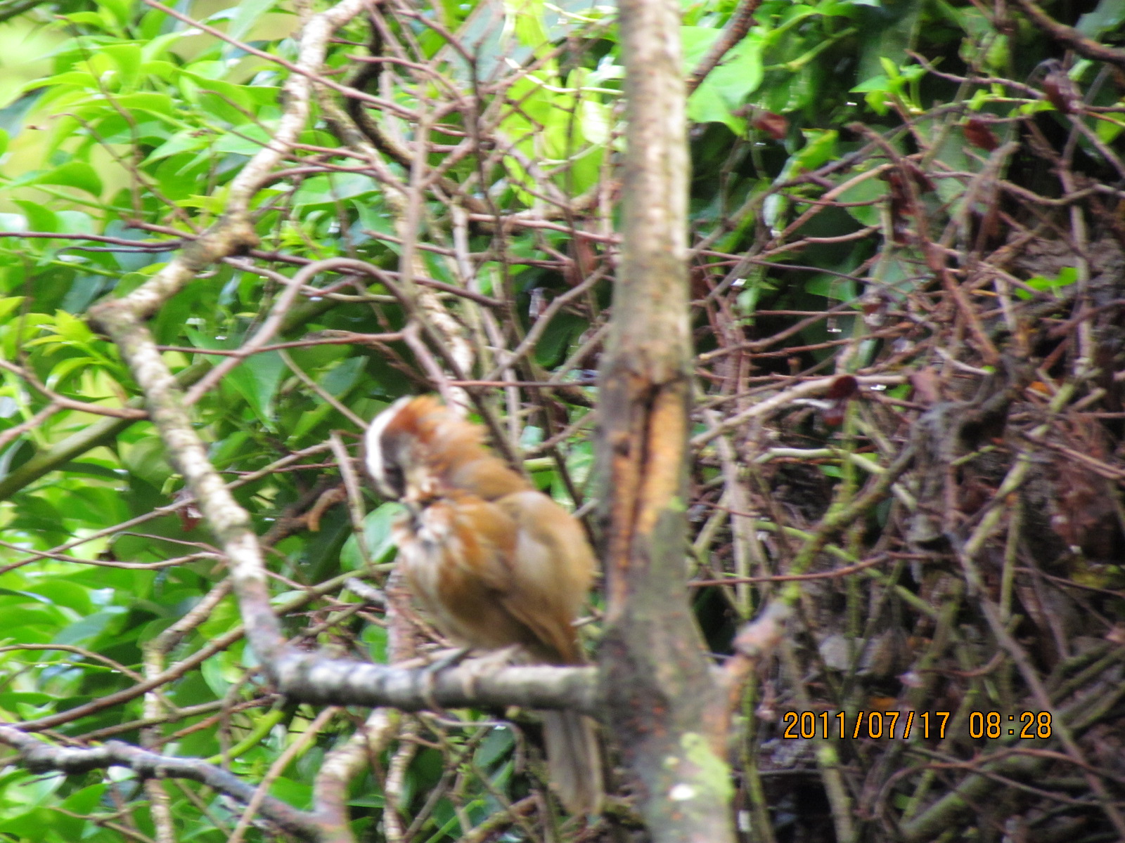 IMG_1818.JPG