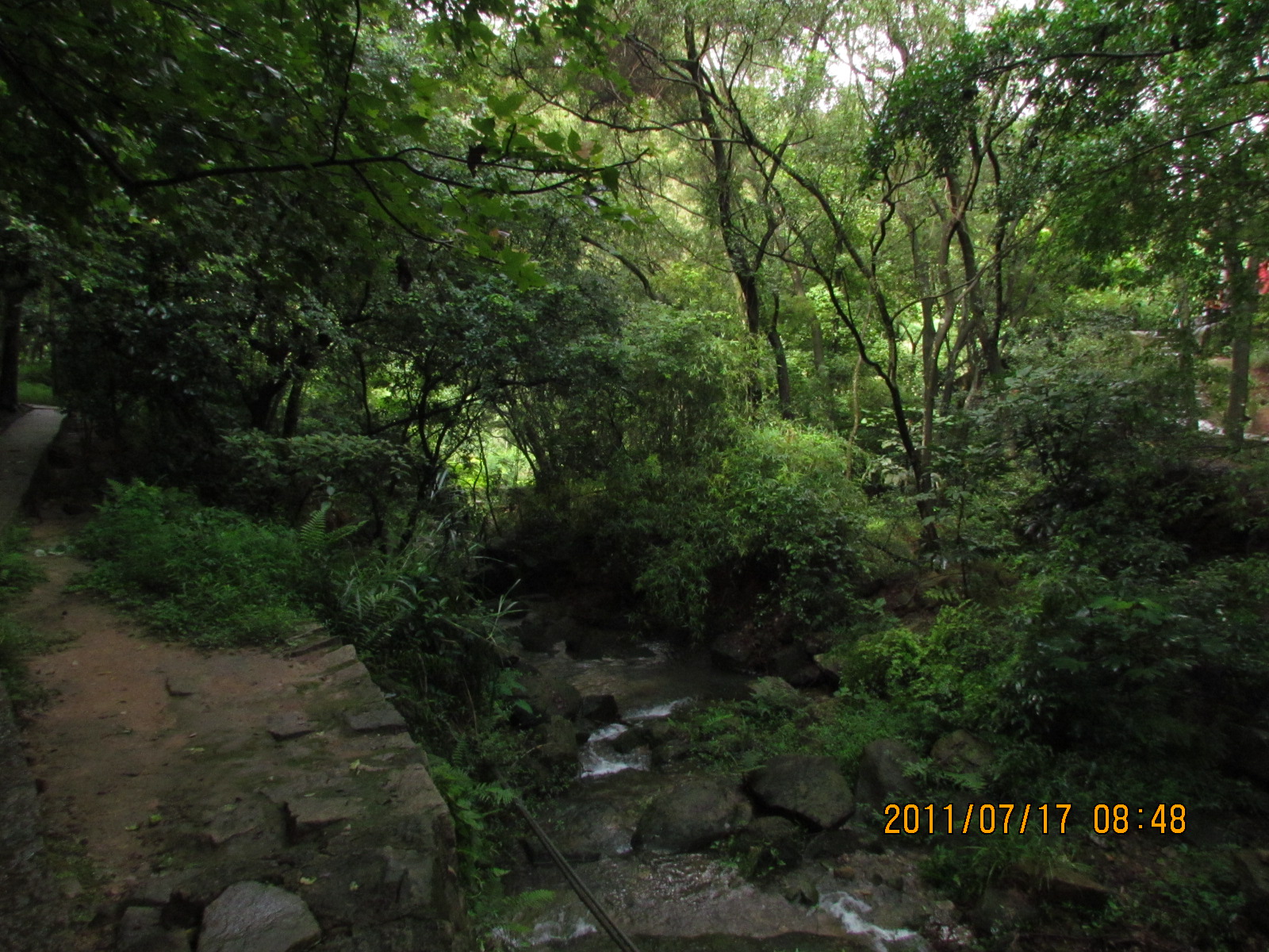 IMG_1824.JPG