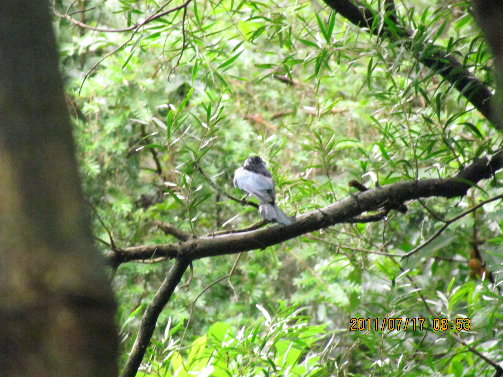 IMG_1838.JPG