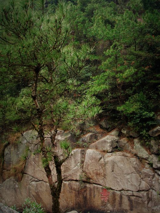 DSC00834.jpg
