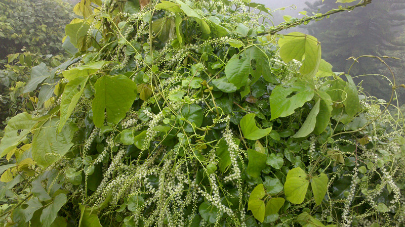 2011-09-02_13-35-17_44_.jpg