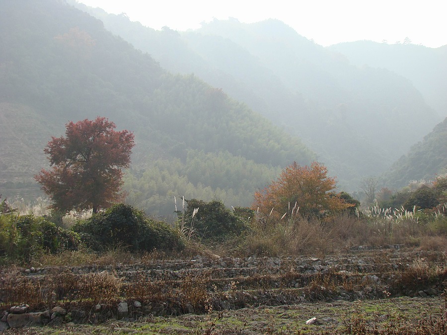 DSC07116.jpg