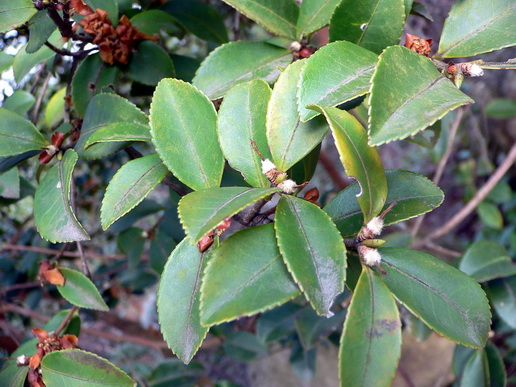 P1200492-0.jpg