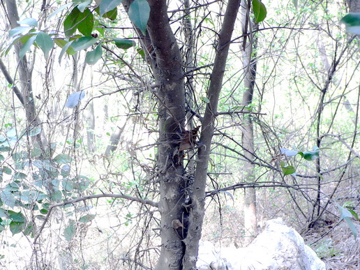 P1130113Ǆ0.jpg