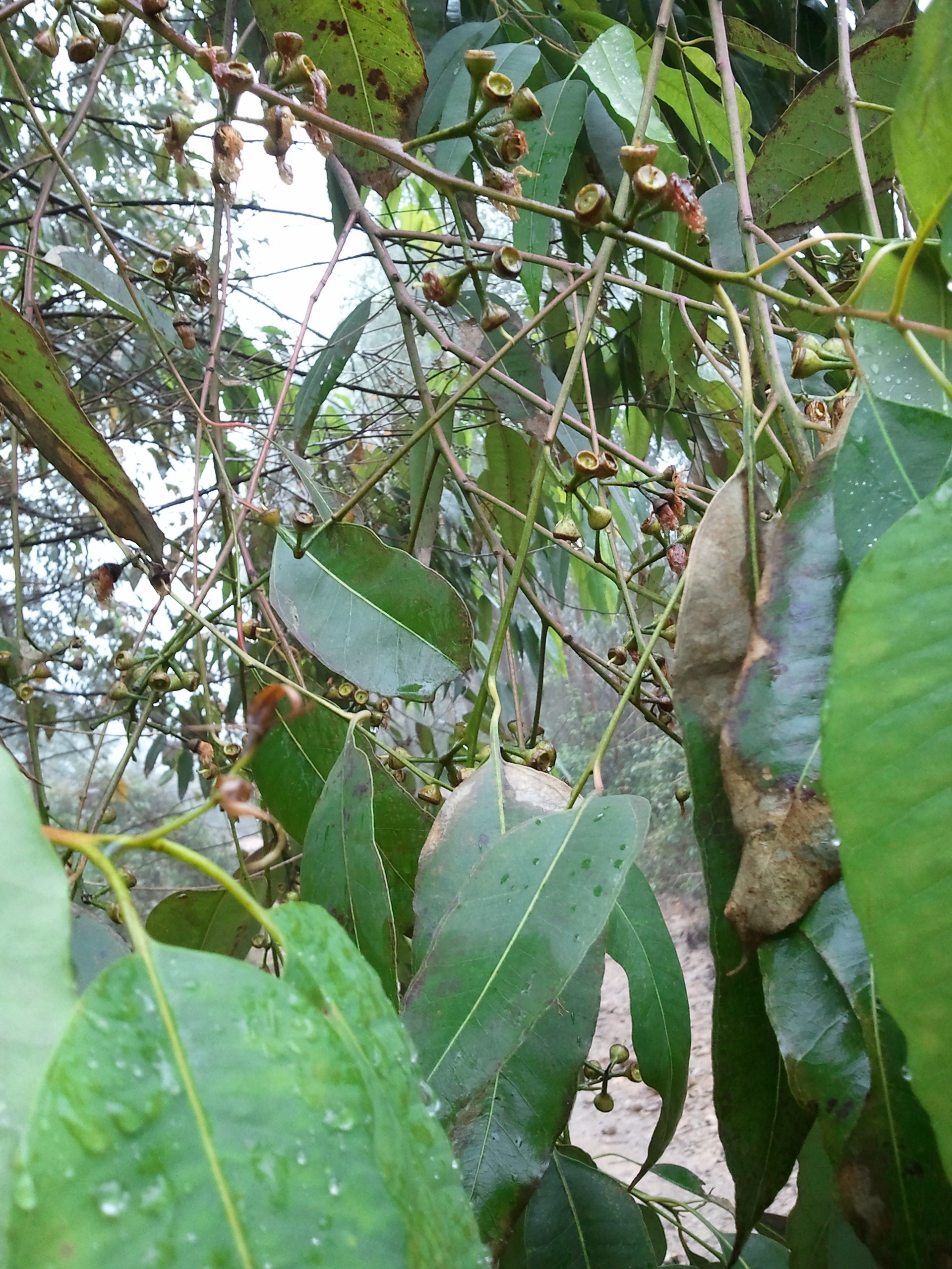 2012-01-27ĳͰ.jpg