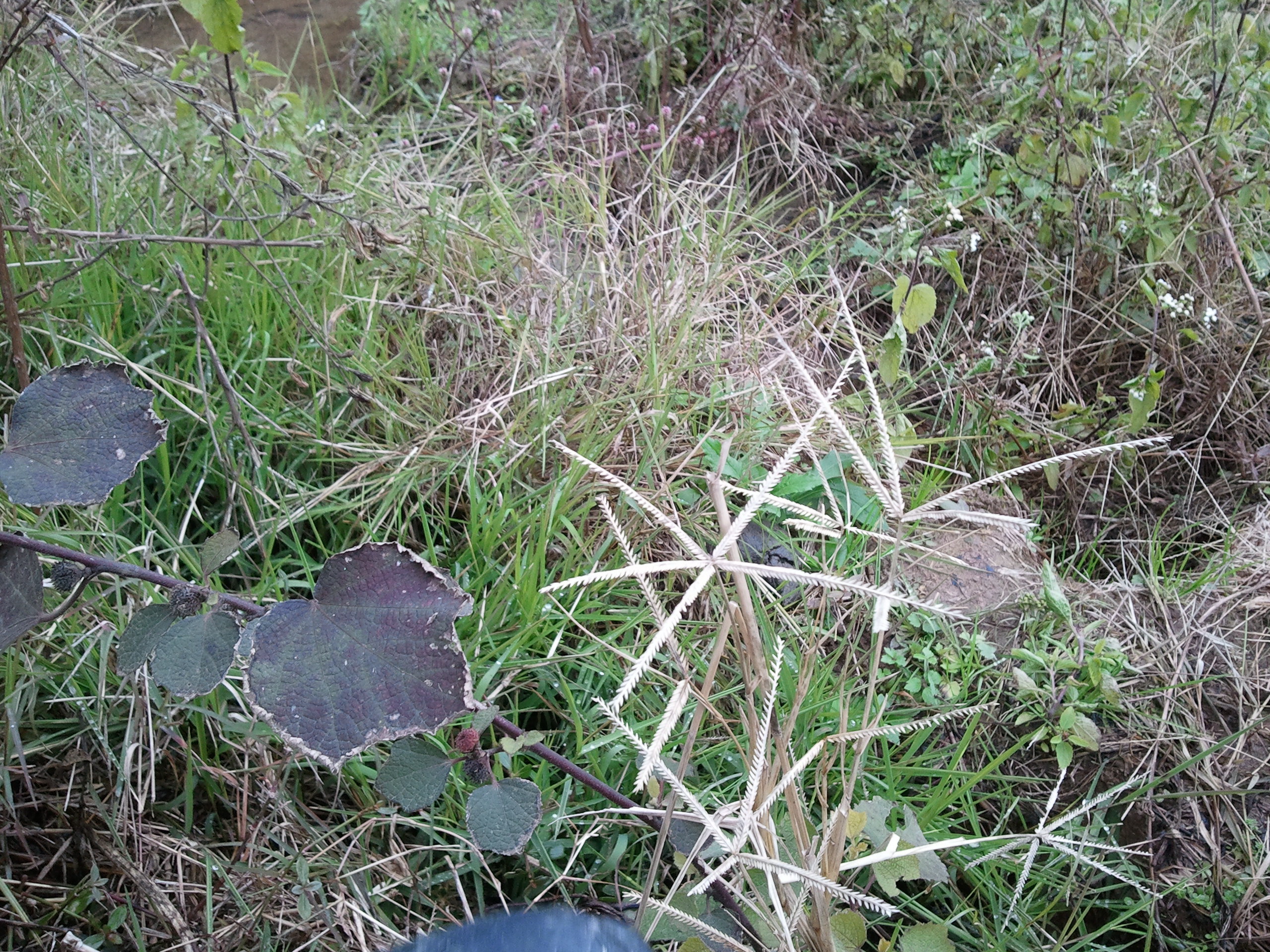 2012-01-27 ĳֲ4.jpg