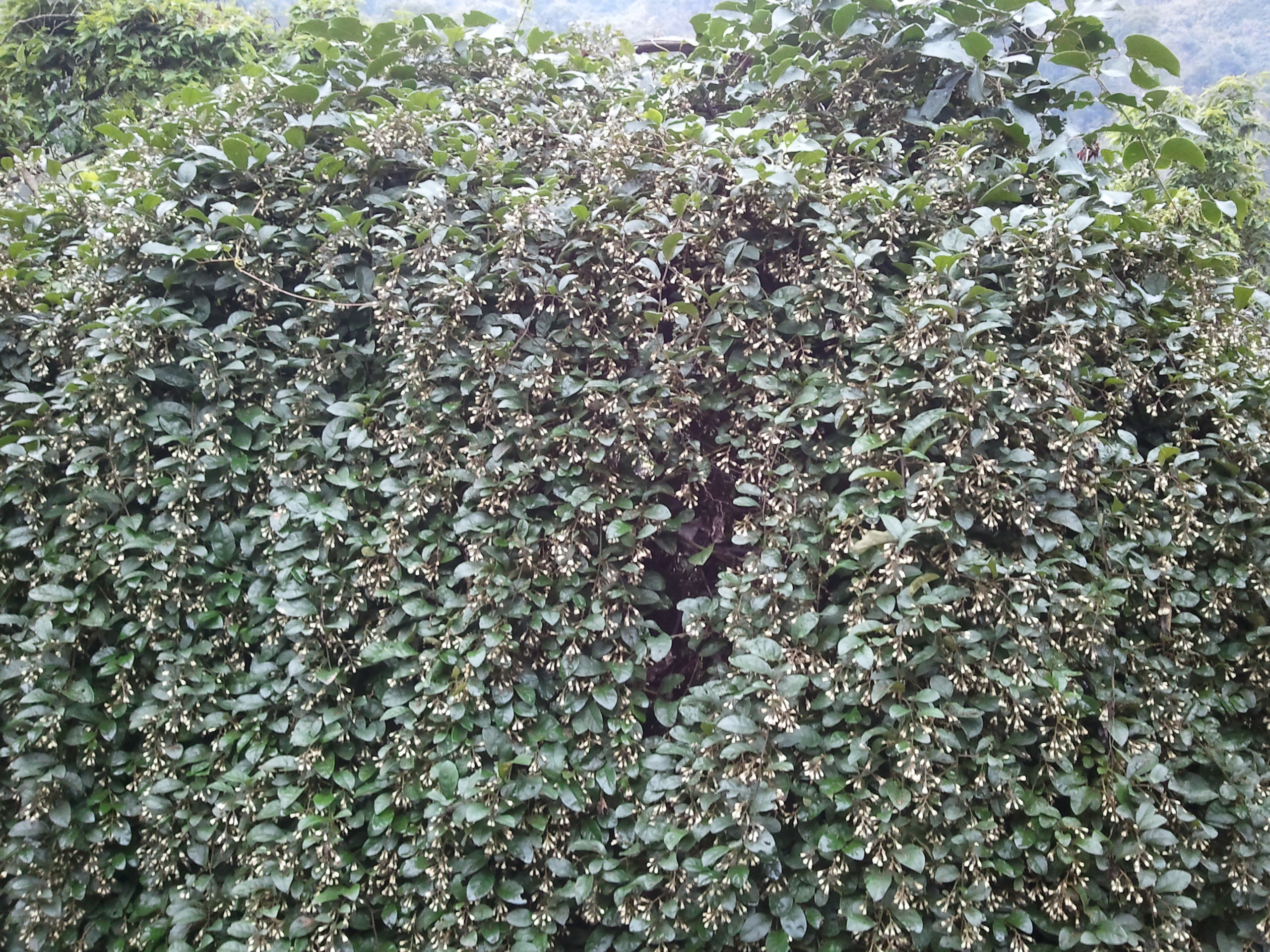 2012-01-28 ĳֲ3.jpg