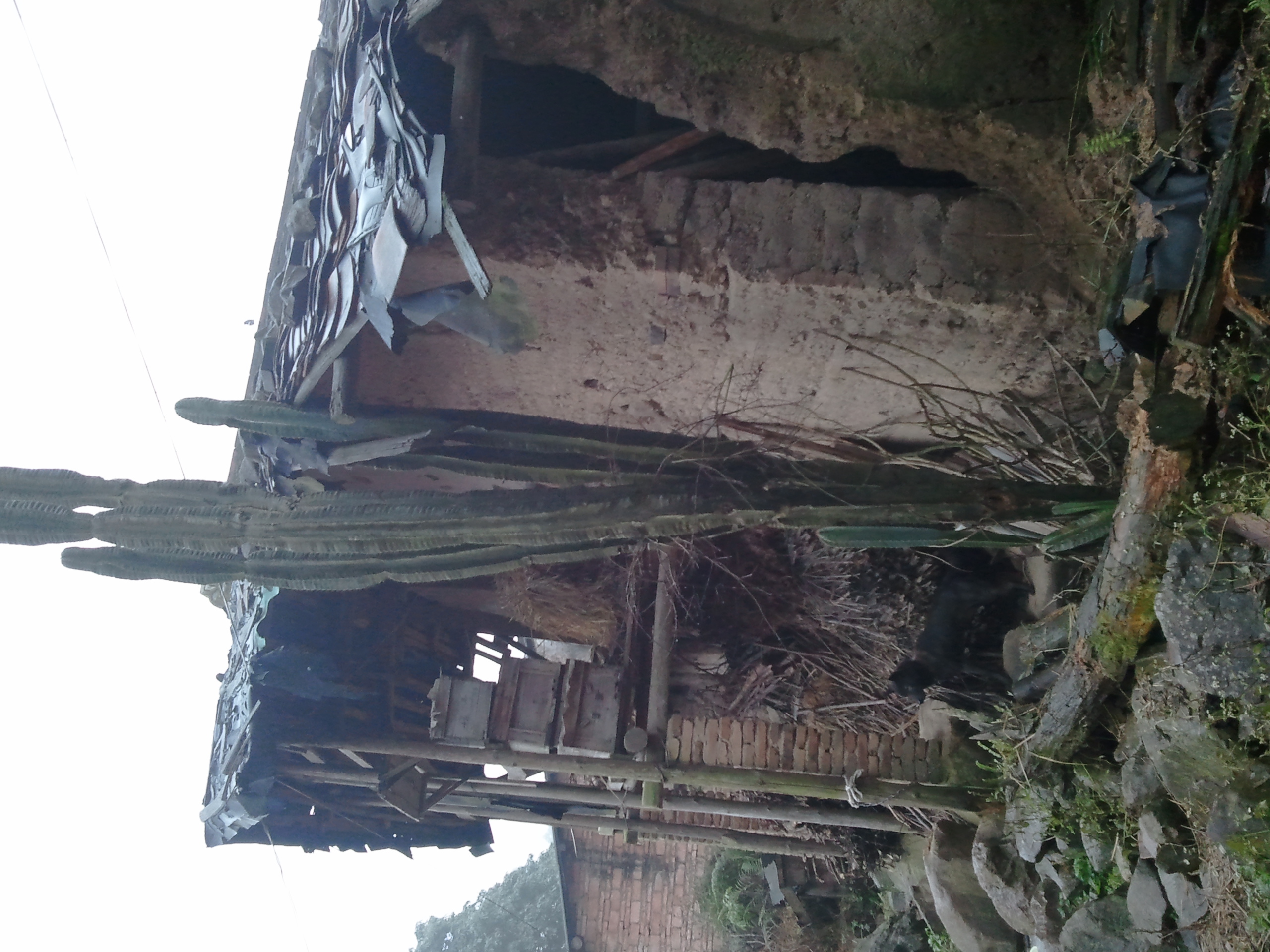 2012-01-27 10.17.12.jpg