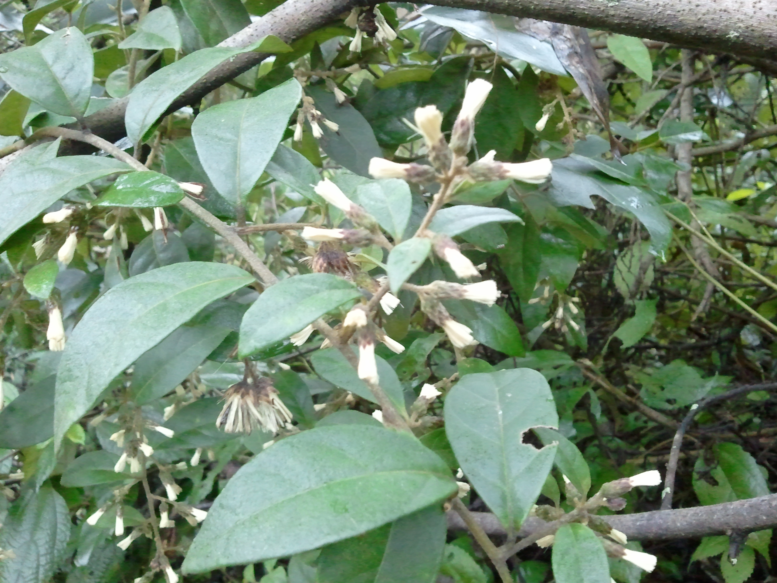 2012-01-28 09.12.56.jpg