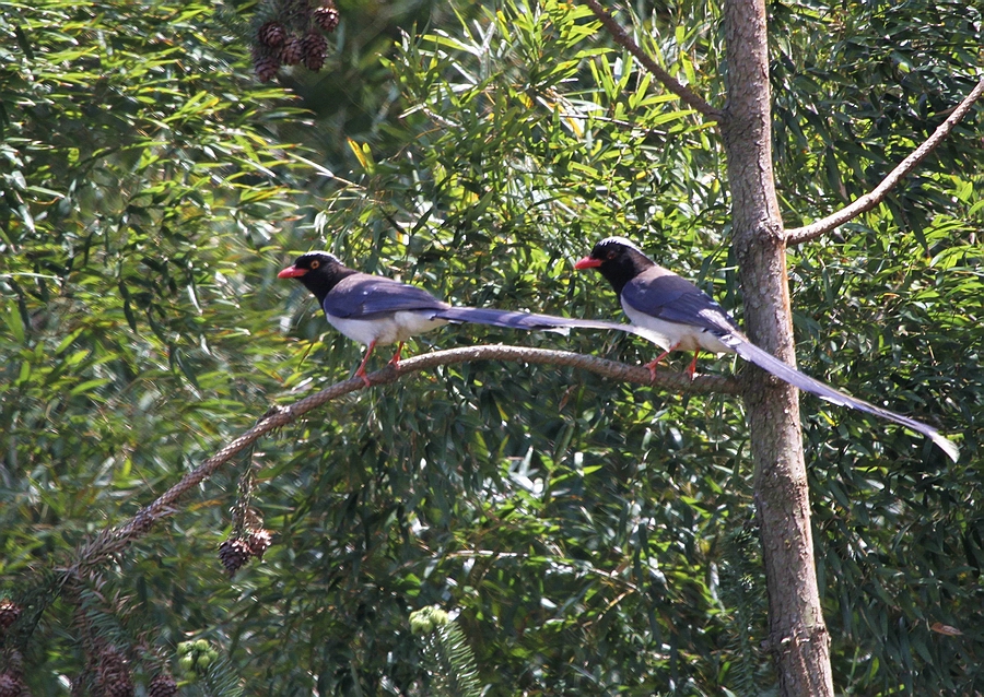 IMG_9648.jpg