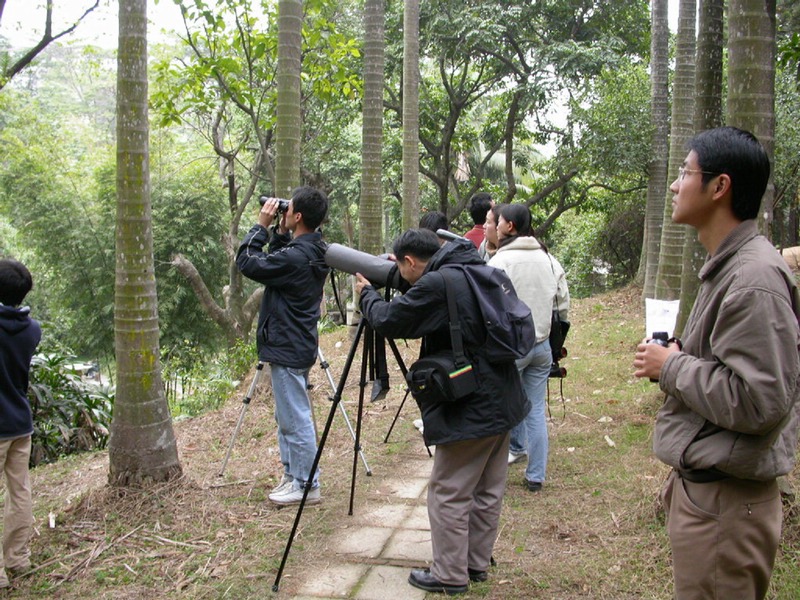 DSCN5950.jpg