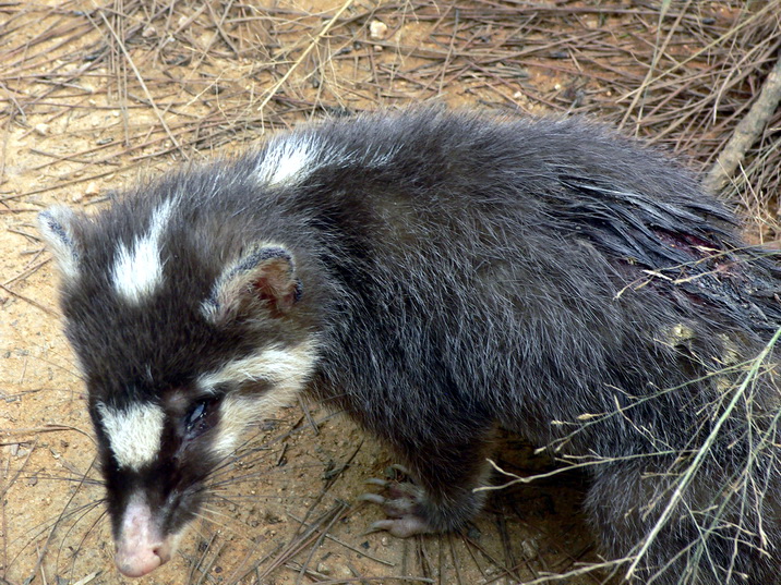 P1170275ʳзB.jpg
