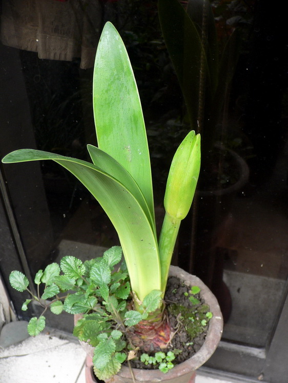 P1230683-0.jpg