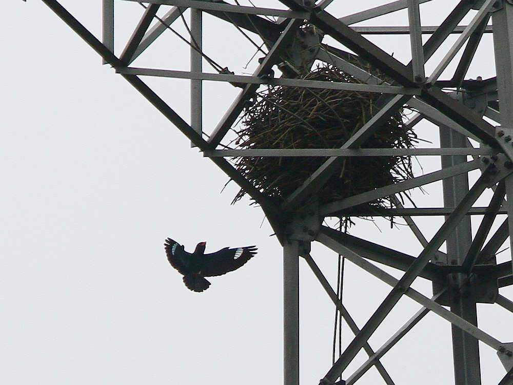 2012_06_17_0078a.jpg