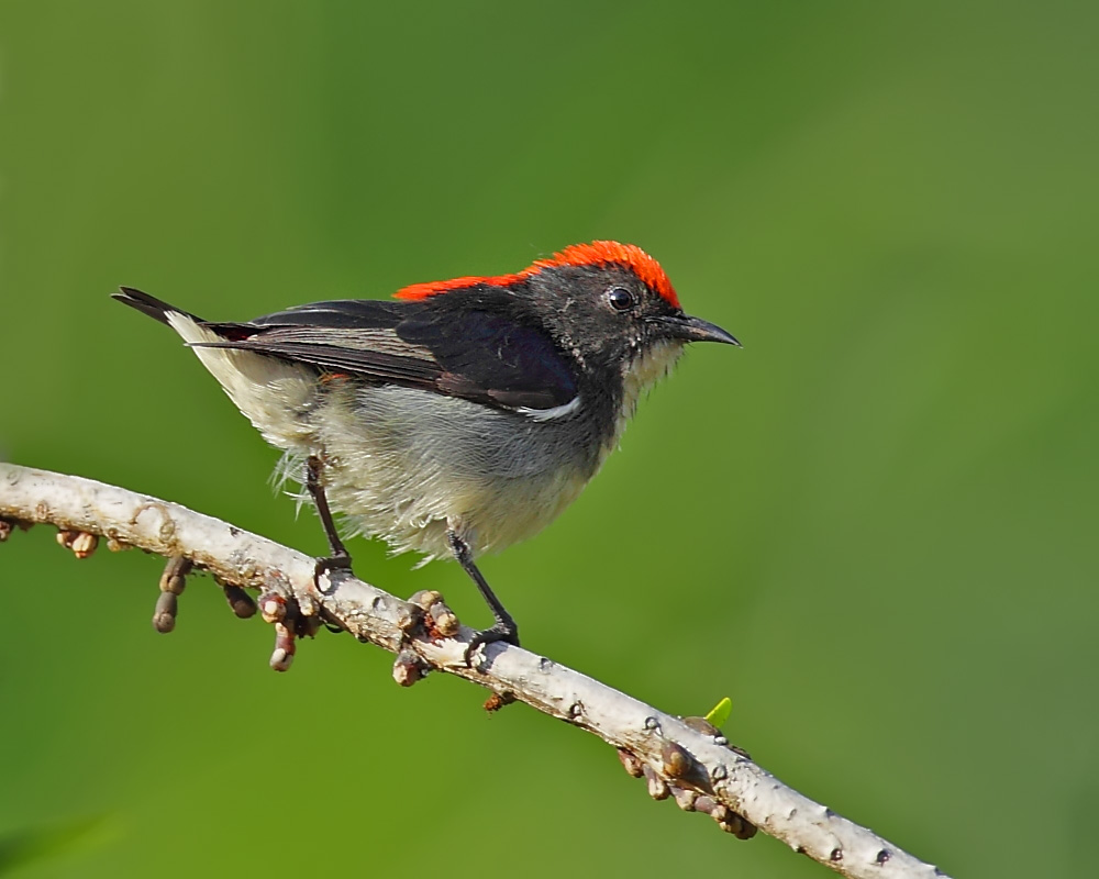 DPP_03897-2.jpg