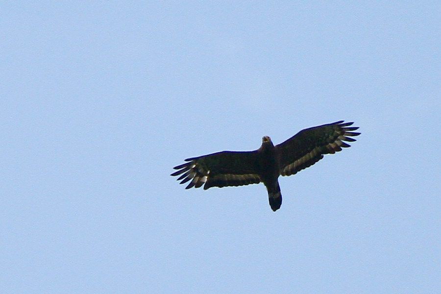 2012_07_01_0202a.jpg