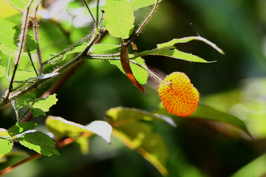 2012_07_01_0163a.jpg