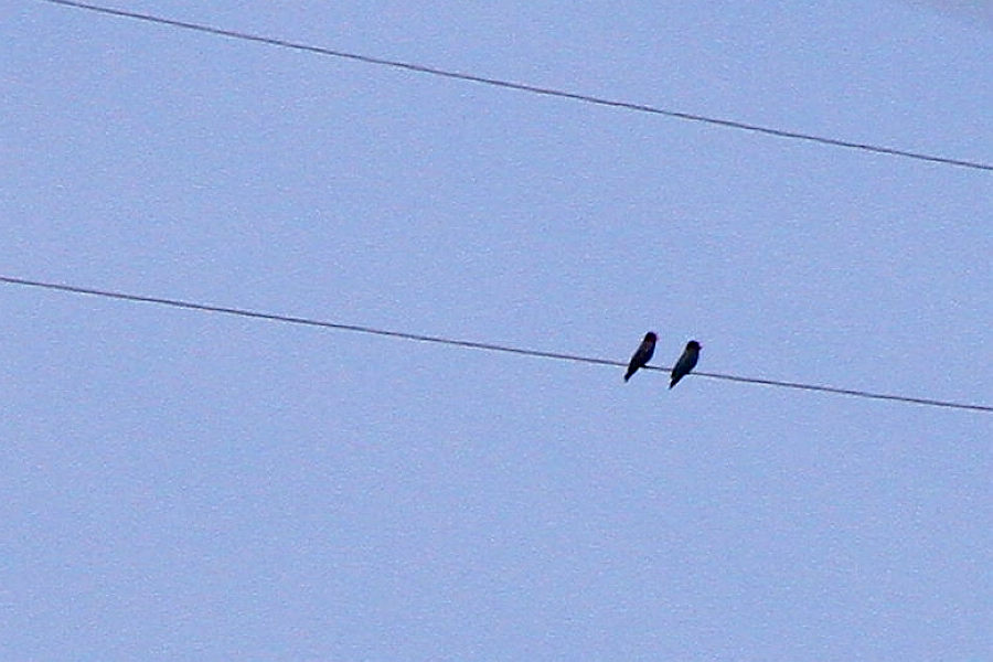 2012_07_01_0032a.jpg