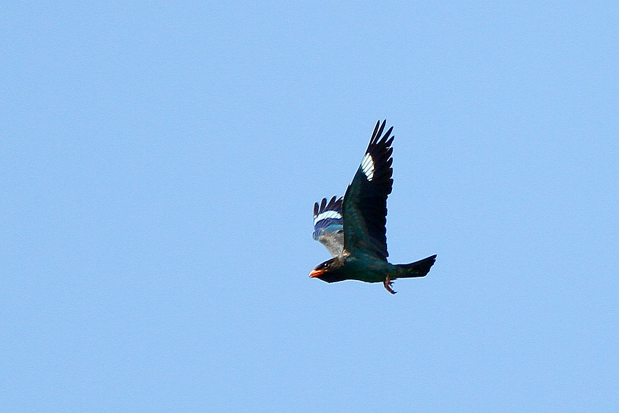 2012_07_07_0025b.jpg