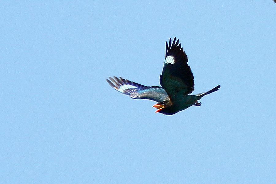 2012_07_07_0027b.jpg
