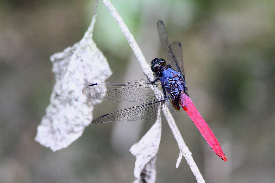 2012_07_07_0166a.jpg