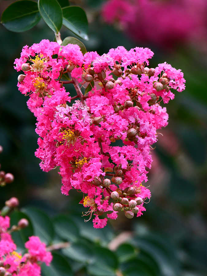 2012_07_07_0134a.jpg