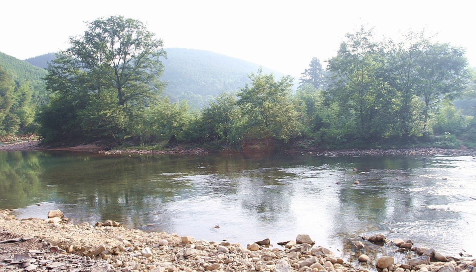 IMG_1512.jpg