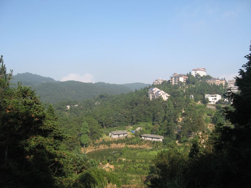 20121.jpg