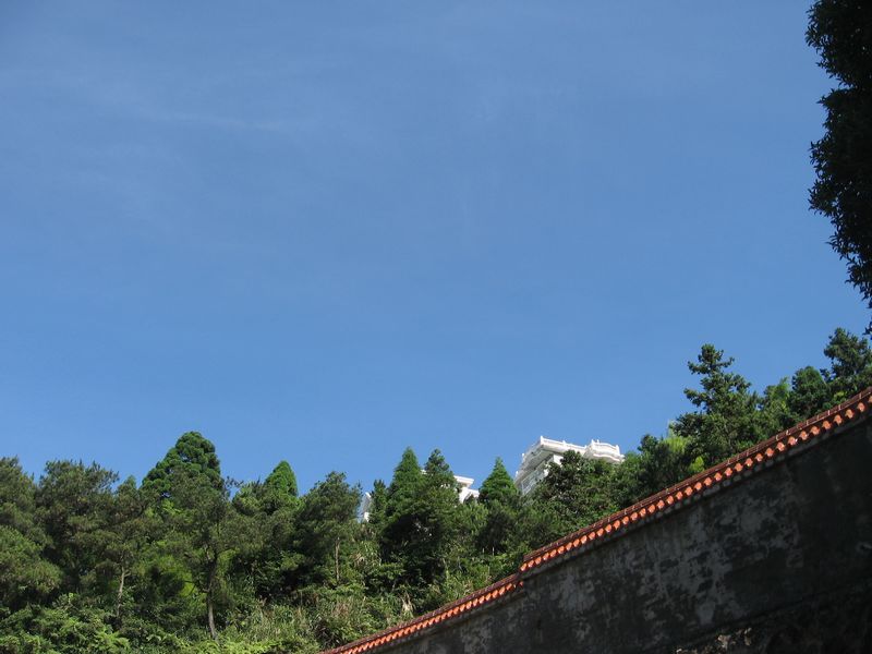 20122.jpg