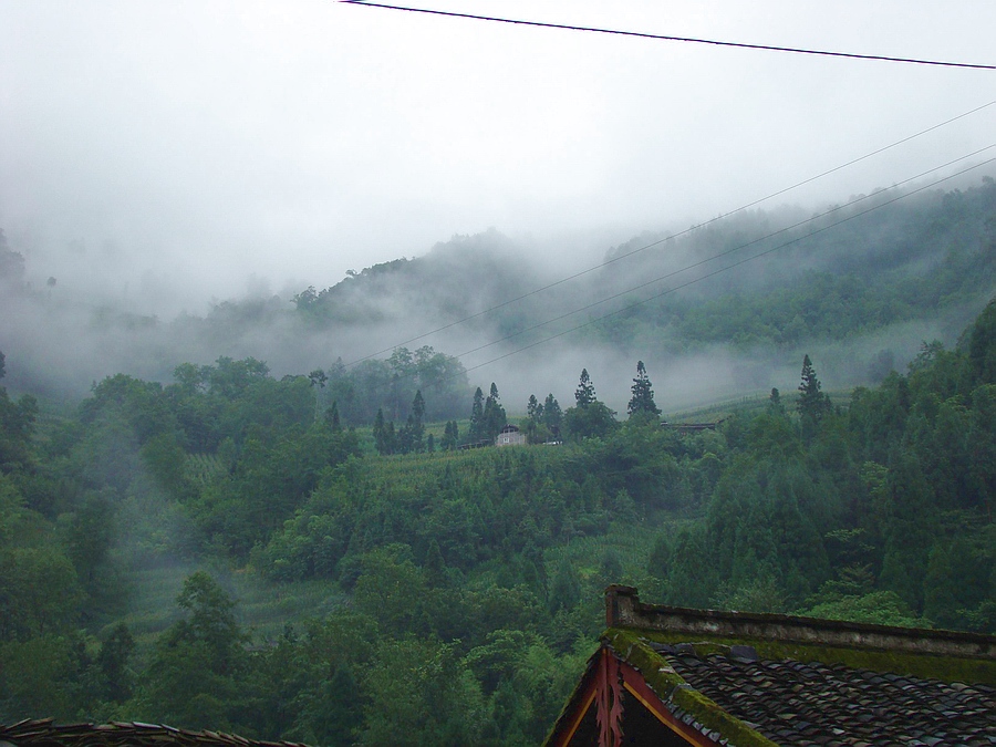 DSC07589.jpg