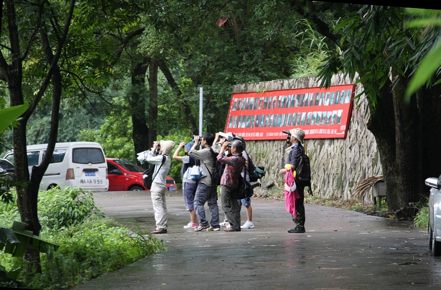 IMG_8627.jpg