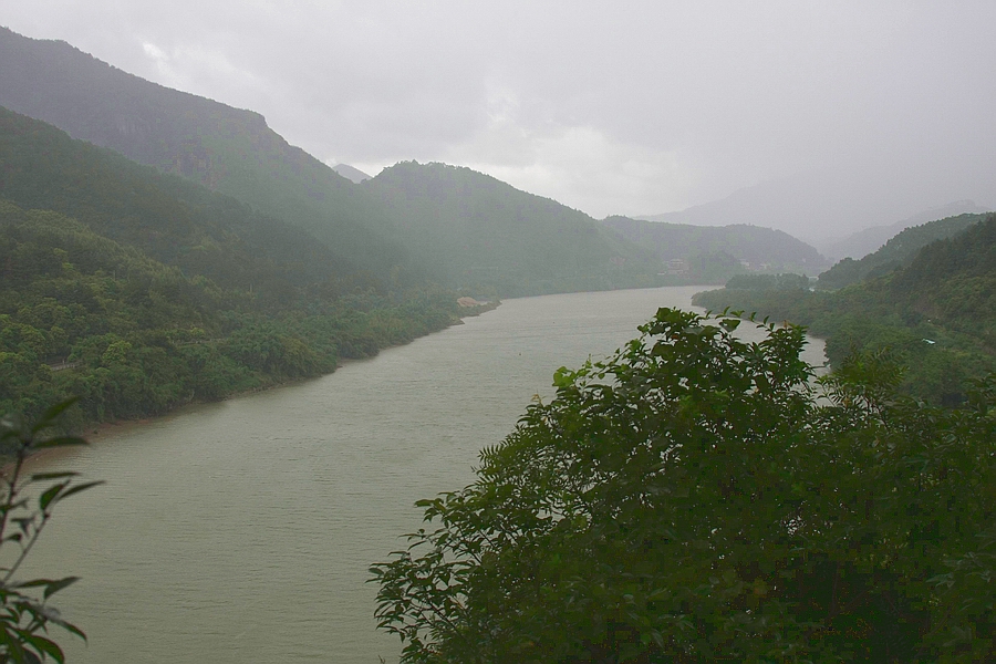 IMG_8679.jpg