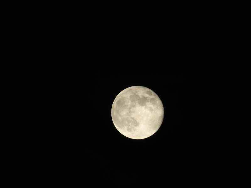 IMG_2668.jpg