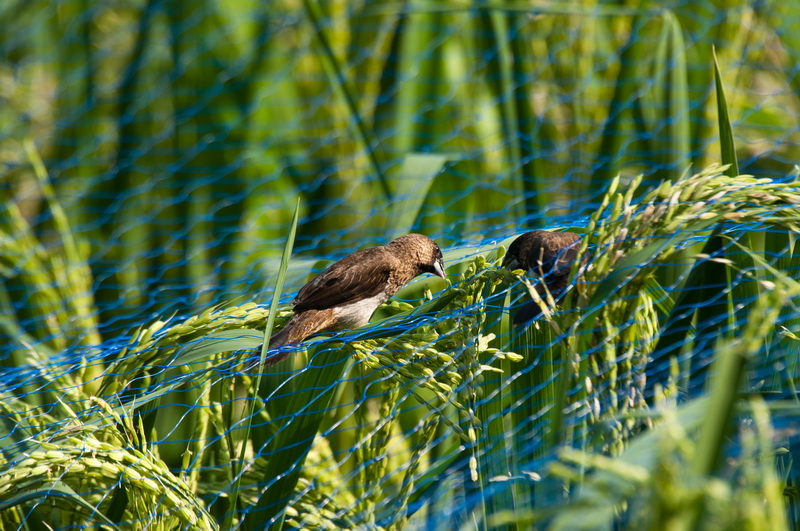 _DSC5955_С.jpg