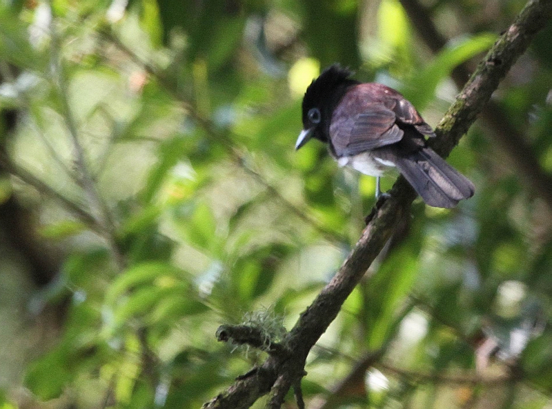 IMG_7364.jpg