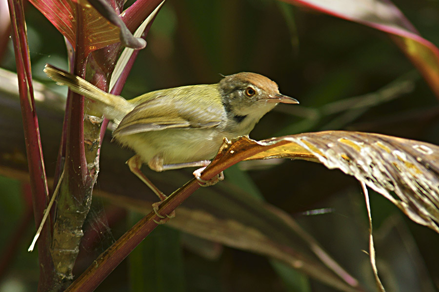 0AβҶݺ900.jpg